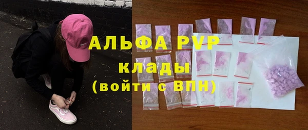 стаф Магадан