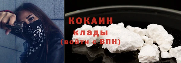 мяу мяу мука Магас
