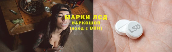 стаф Магадан