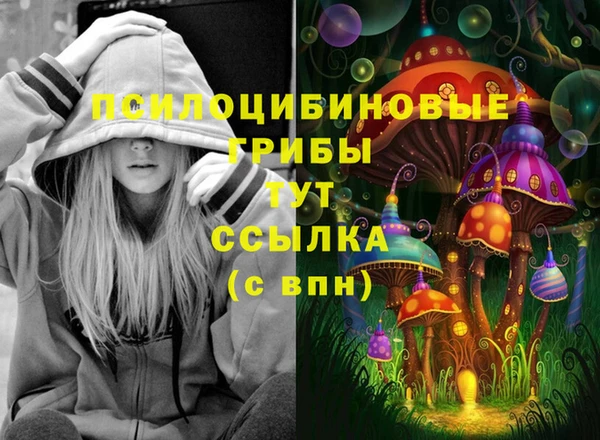 стаф Магадан