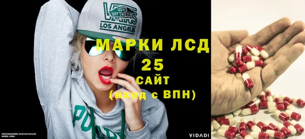 мяу мяу мука Магас